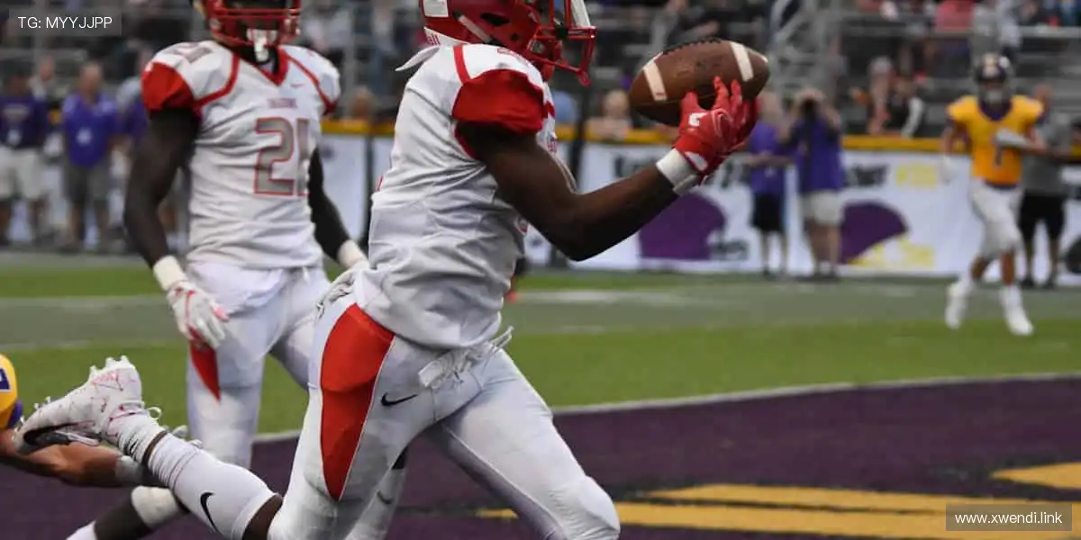 精彩纷呈,影视盛宴!🎥🔥